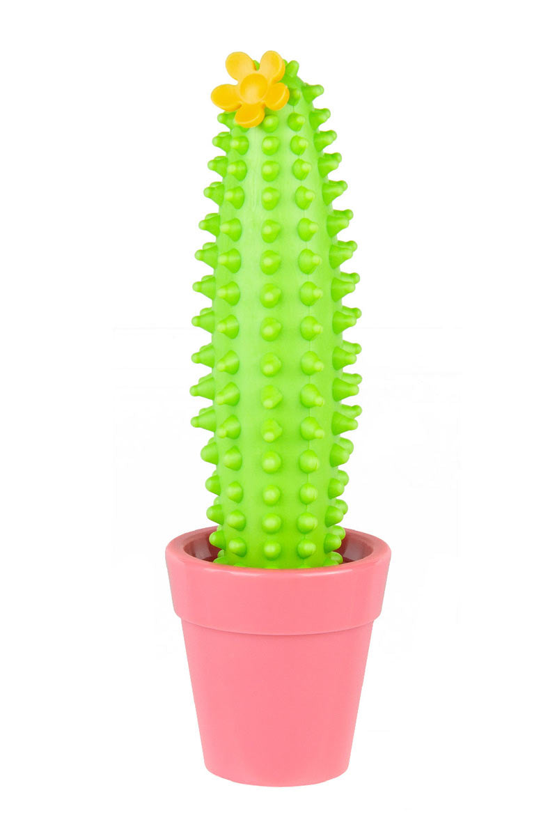 Lindo Cactus Roller - Masajeador De Acupresión