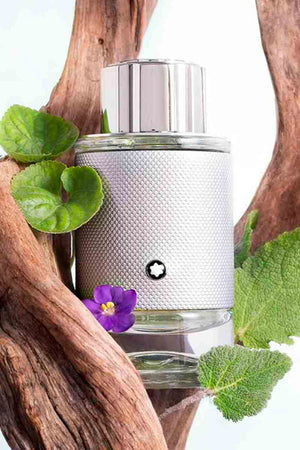Montblanc Explorer Platinum For Men 100 ml