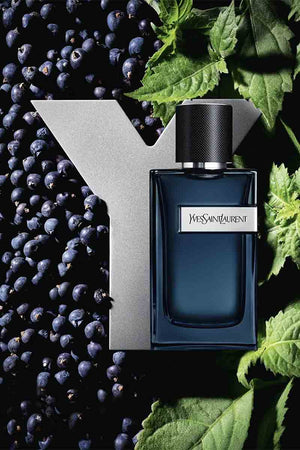 Yves Saint Laurent Y Eau De Parfum Intense 100 ml