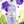 I Love Violet Dreams Body Mist 150 ml