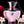 Versace Dylan Blush Pink Pour Femme Eau De Parfum 100 ml